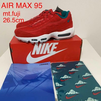 mt fuji air max 95