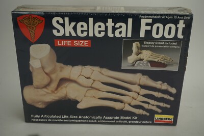 Vintage Lindberg Skeletal Human Foot Life Size Scale Model Kit 