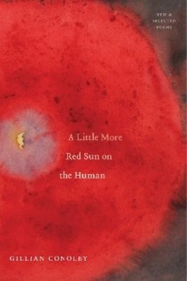Gillian Conoley A Little More Red Sun on the Human (Taschenbuch)