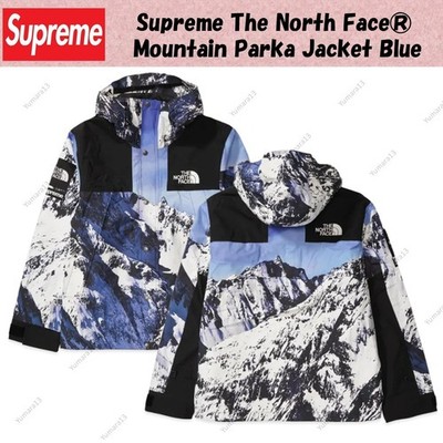 Supreme The North Face  Mountain Parka Jacket Blue