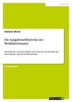 Die AusgabeneffektivitäT Des Wohlfahrtsstaates (Buch)