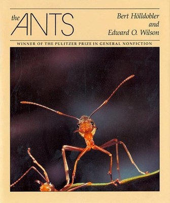 The Ants - 9780674040755