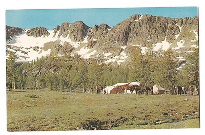 CORAL LAKE CAMP Horses Cascade Mountains Pack Trips WASHINGTON Postcard WA 