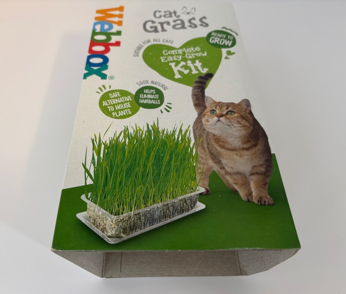 Webbox Cat Grass Complete Easy-Grow Kit BNIB UK