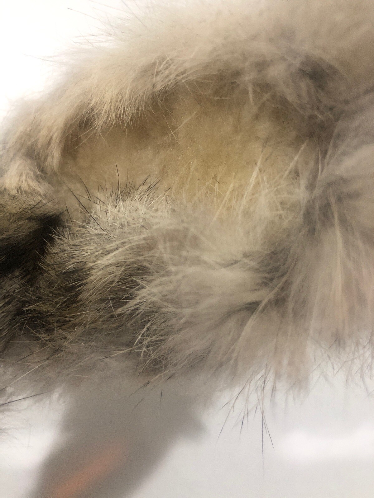 Vintage Rabbit Ear Muffs Gem