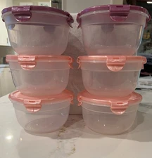 6 New Round Lock n Lock 1.0 QT. Containers with Lids