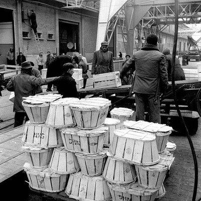 On Marseille harbour dockers at work 1955 in Marseille France Old Photo