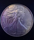 2022 American Silver Eagle 1 Troy Oz .999 Fine Silver