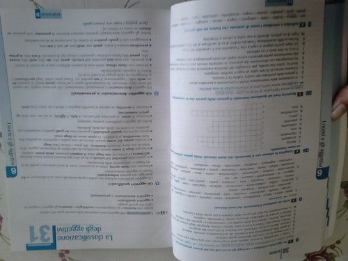 ACCORDI LINGUISTICI. TOMO A. LE STRUTTURE GRAMMATICALI. - Foto 4 di 7