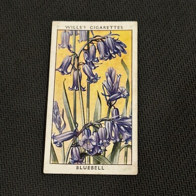1936 Wills Cigarettes - Tobacco Cards - Wild Flowers - Singles