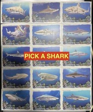 2021 Allen and Ginter Deep Sea Shiver #DSS-10 Sand Shark NM-MT
