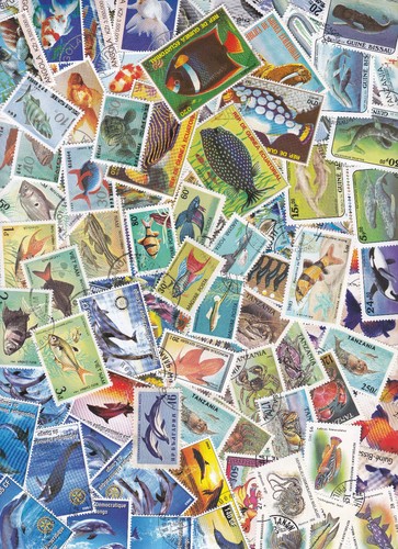 Y1011B - Collection 100 diff. stamps - Vissen / Fish / Fische - 第 1/1 張圖片