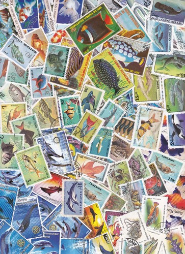 Y1011C - Collection 100 diff. stamps - Vissen / Fish / Fische  - Afbeelding 1 van 1