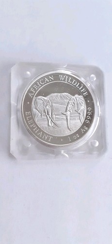 1 OZ 100 Shillings Somalia Elefant 2020 ST in Kapsel