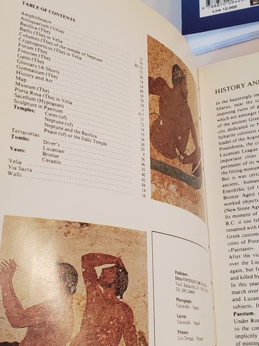 (6) LOT - ITALY Travel Books a.Ancient Rome b.Vatican City c.Rome + Vatican d.Pa - Picture 16 of 24