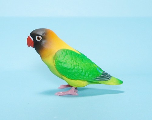Shine G Tenori Inko Yellow Collared Lilian's Lovebird parrot figure US seller