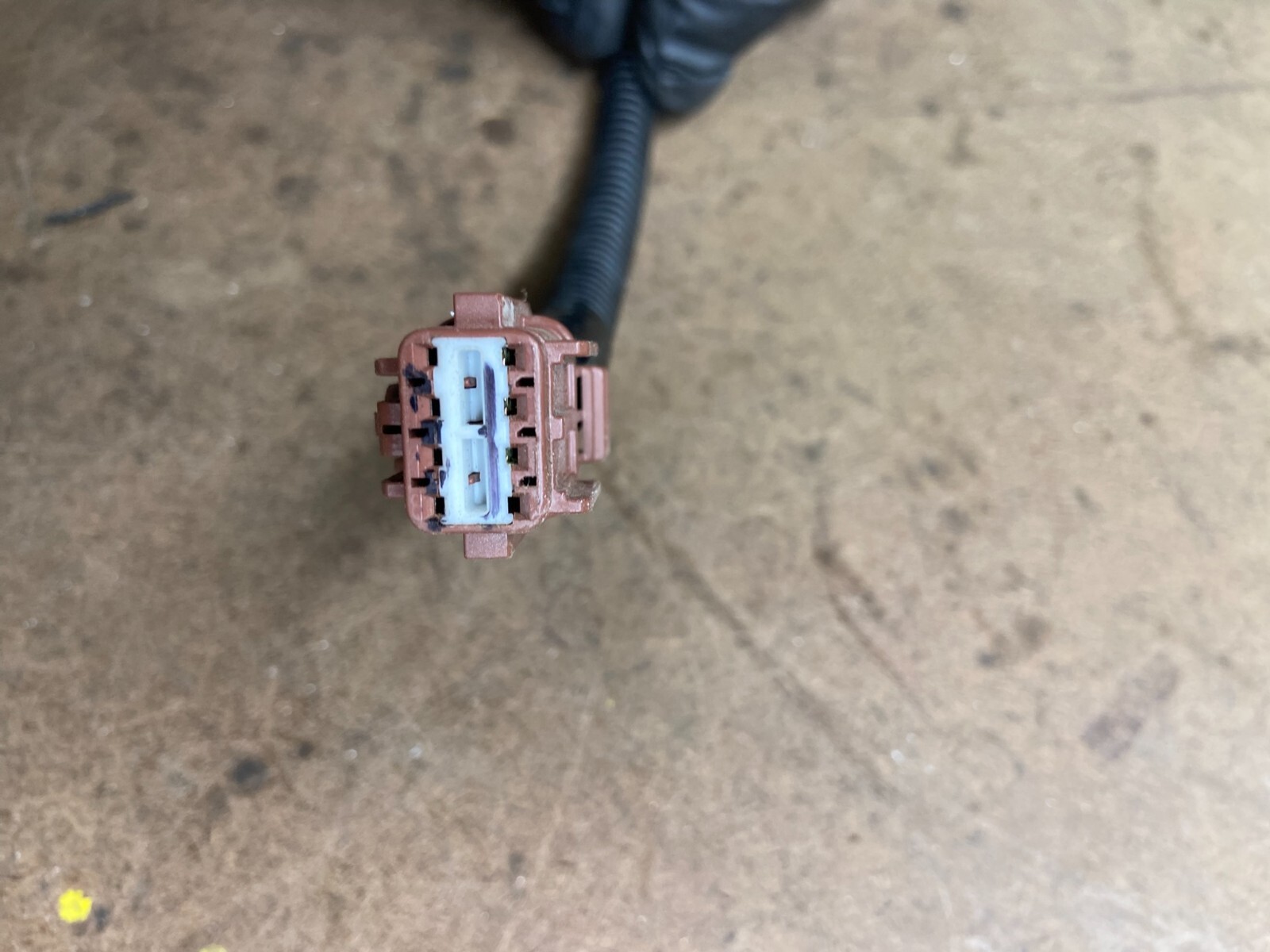 Picture 5 of 5