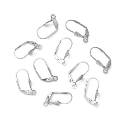 10 Stück Edelstahl Creolen mit Hebelverschluss 19 x 9,5 mm Ohrdrähte Komponenten
