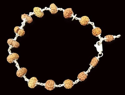 Rudraksha Siddha Bracelet In Silver: 1 - 14 Mukhi , Gaurishankar , Ganesha Rudra