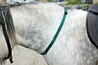 Bild 39 von 83