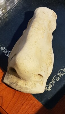 Ungewöhnliche 8 Zoll lebensechte menschliche Nase Wandbehang Stück. Gips? 