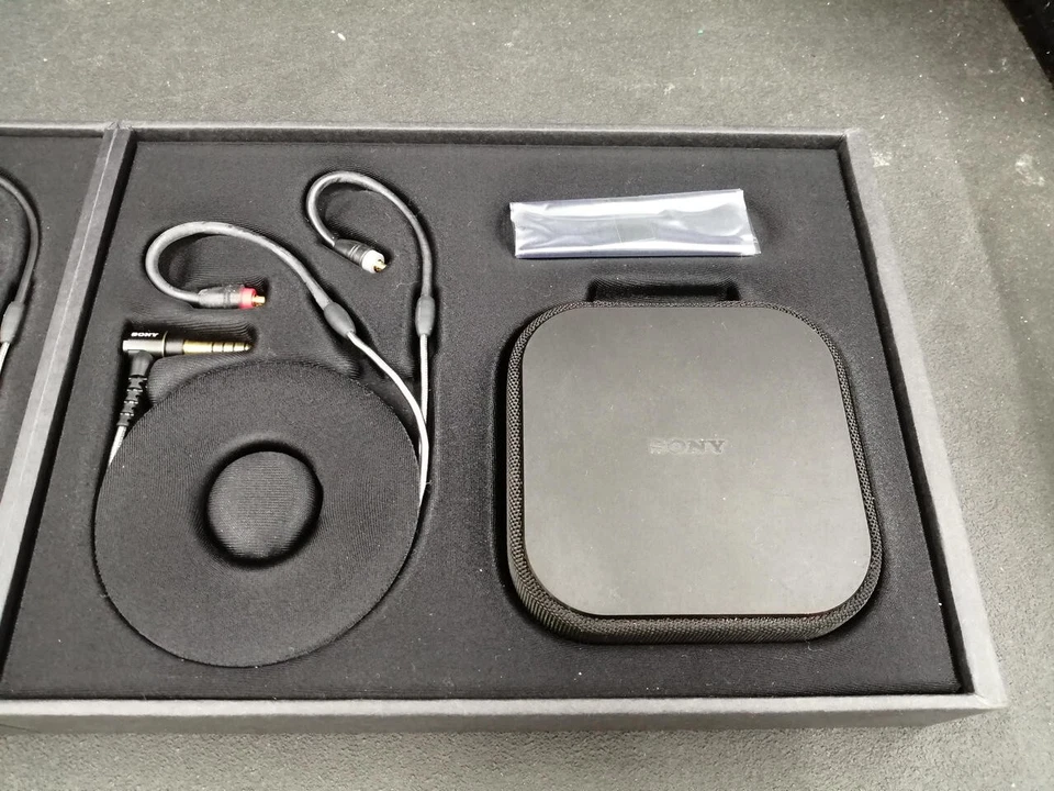 Sony IER-M9 Alta Resolución Armadura Equilibrada Monitor Auriculares Usados Japón Foto 4 de 4