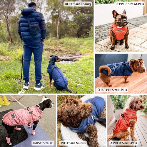 PIPCO PETS - Dog Puffer Jacket with In-Built Harness | Water Resistant Coat - Picture 8 of 20