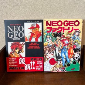 Neo Geo Fighters NEOGEO Factory