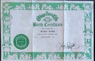 Vintage Cabbage Patch Kids Birth Certificate Girl ~ Rory Rori ~ Coleco 1980's