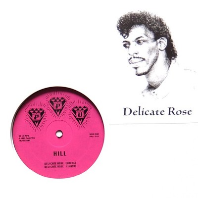 HILL ''Delicate Rose'' / ROSHELL ANDERSON ''Wild Dreams'' PPU-019 12''