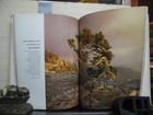 Foto 3 di 5