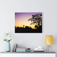 Stretched Canvas ( Sunset, Trees, Garden, Color)