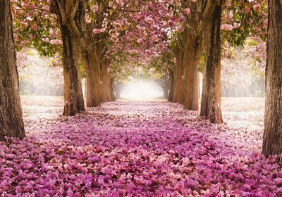 Blumen Baum Abstrakt VLIES FOTOTAPETE 3D WOHNZIMMER TAPETE WANDBILD XXL