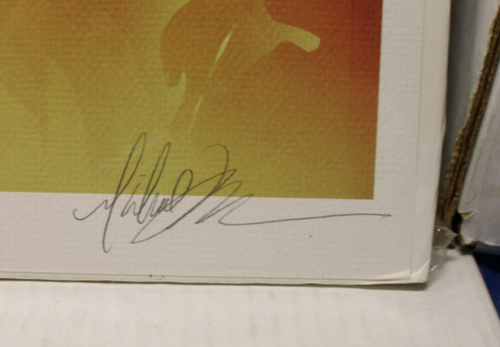 Michael Turner Signed WITCHBLADE Lithograph Print (1998) 22" X 28", 144/500 COA - Picture 3 of 5
