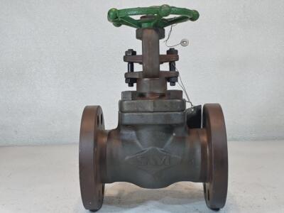 SWI Valve Co., LTD 2'' 300# RF Gate Valve AAD-11AB-RA1A
