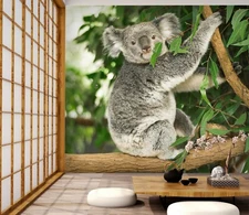 3D Gray Koala O272 Animal Wallpaper Wall Murals Removable Wallpaper Fay