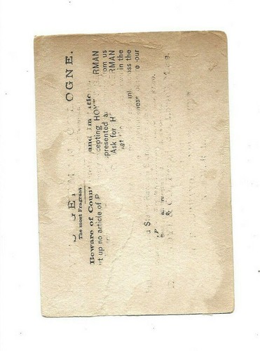 Vintage Hoyt's German Cologne Victorian Trade Card - Picture 2 of 2