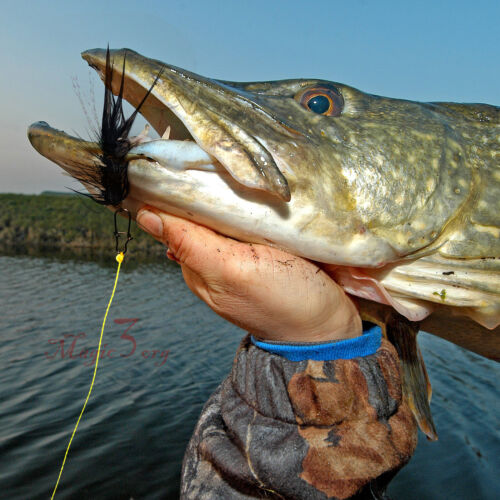 15 pz mosche da pesca a mosca in lana bugger per trota basso salmone streamer mosche bagnate - Foto 8 di 8
