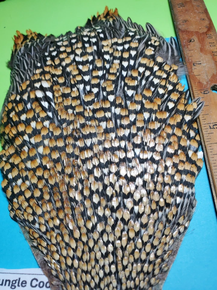 Capa Jungle Cock SUPER AAA 930 EE. UU. Solo  Foto 2 de 4