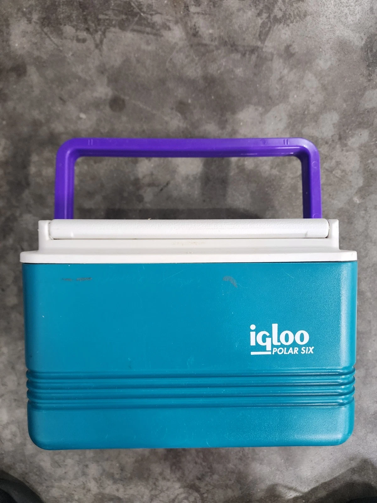 Vintage 90s Igloo Polar Six Cooler Purple