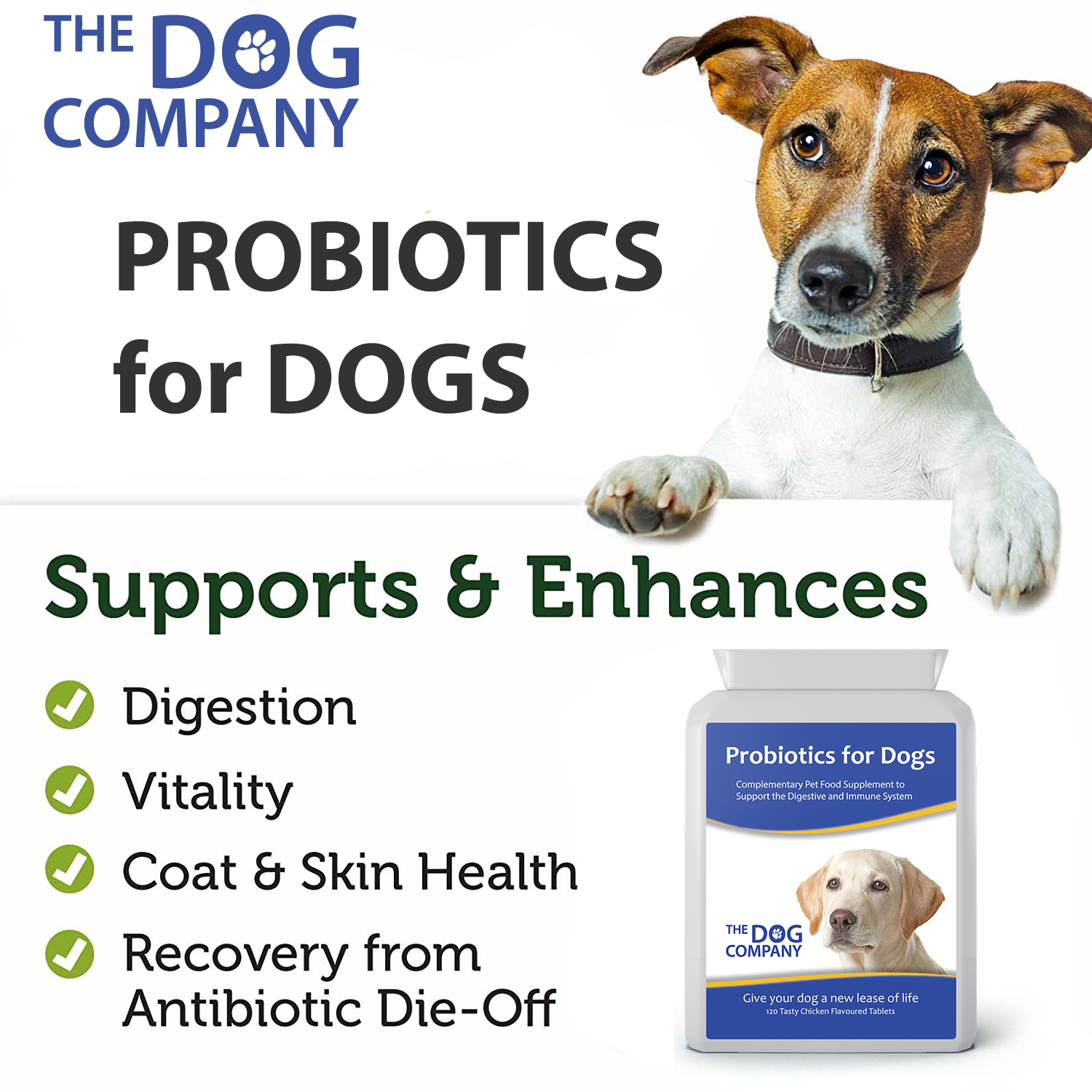 Dog Probiotics & Digestive Enzymes. Diarrhoea, Gas, Stomach Upset, Bad