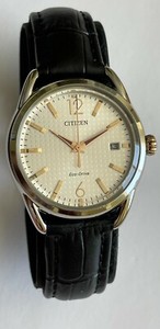 citizen eco drive gn4s
