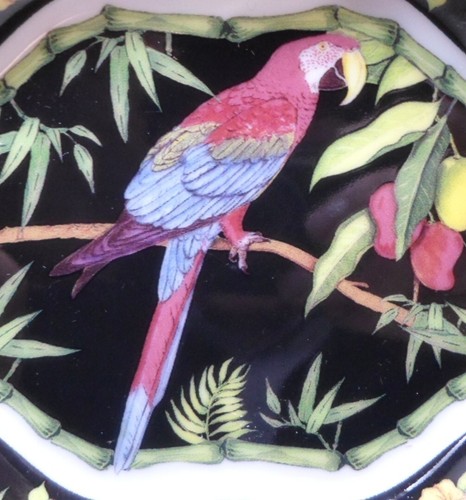 4 Vintage MACAW COLLECTION DISHES by Andrea by Sadek Colorful Parrots Designs - Picture 5 of 11