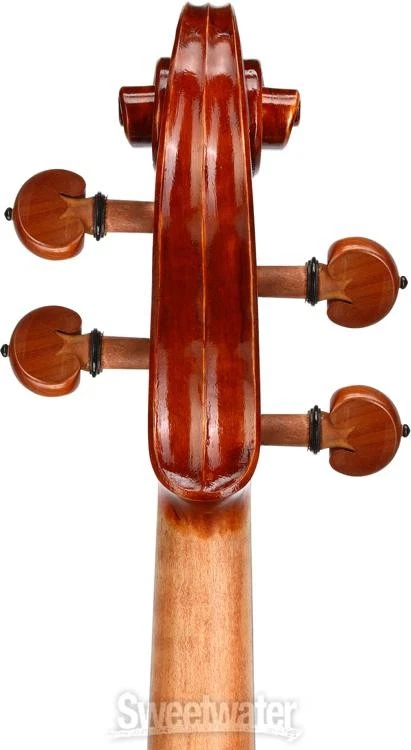 Eastman VA200 Andreas Eastman Intermediate Viola - 16.5-inch - Image 2 of 4