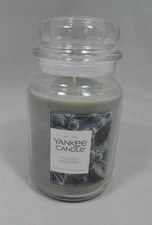 Yankee Candle HOLIDAY BAYBERRY Large Jar 22 oz Candle