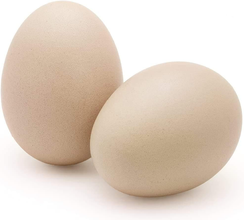 Fake Wooden Eggs to Train Birds from Laying in the Nesting Boxes & to Stop from - Picture 2 of 12