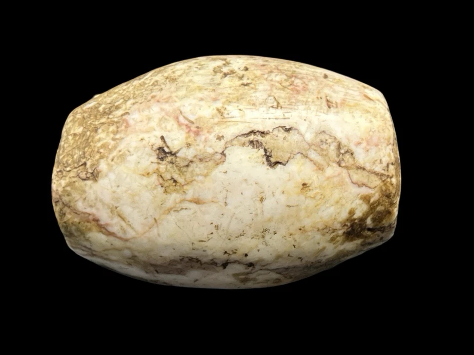 Authentic Ancient Indus Valley Stone Shell Bead 1000 BC Baluchistan - Imagem 3 de 4