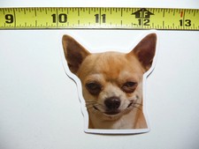 CHIHUAHUA DOUBT FUNNY SMALL STICKER DECAL CUT PET DOG PUPPY FUN FUNNY