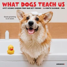 What Dogs Teach Us 2026 7" x 7" Mini Wall Calendar