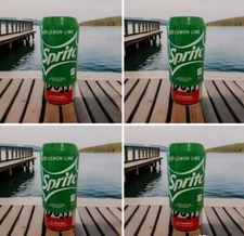 4 Pack Silicone Beer Can Covers Hide A Beer Soda Can 12 Oz